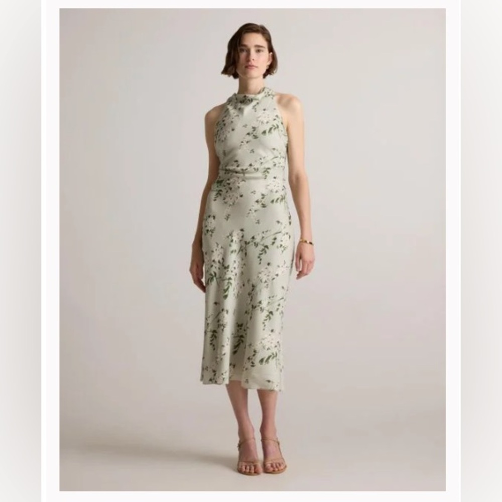 Quince Washable Stretch Silk High Neck Midi Dress in Jasmine Vine (Light Green)